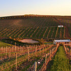 Hemel-en-Aarde Valley